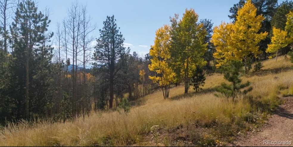 Commercial Property for Sale in Cripple Creek Colorado 80813